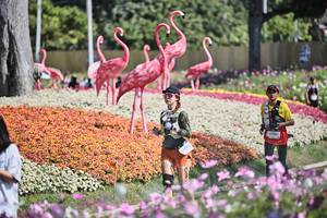 BIB: 
                            <button type="button" onclick="openModal(27793072)" class="btn btn-primary btn-sm float-right btn-popup" data-toggle="modal" data-target=".modal-high-quality">
                        <i class="fas fa-shopping-cart"></i> Add to Cart
                    </button>
                                            <button type="button" onclick="isThisMe(27793072, true)" class="btn btn-success btn-sm float-right btn-popup btn-isme hidden" data-toggle="tooltip" data-placement="bottom" title="นี่คือรูปของคุณใช่ไหม คลิกที่นี่เพื่อเอาเข้าอัลบั้ม">
                        <i class="fas fa-plus"></i> Add to album
                    </button>
                    <button type="button" onclick="isThisMe(27793072, false)" class="btn btn-warning btn-sm float-right btn-popup btn-isnotme hidden">
                        <i class="fas fa-ban"></i> Remove from album
                    </button>